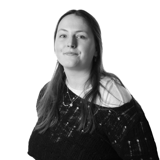 mani-towler-project-manager-default