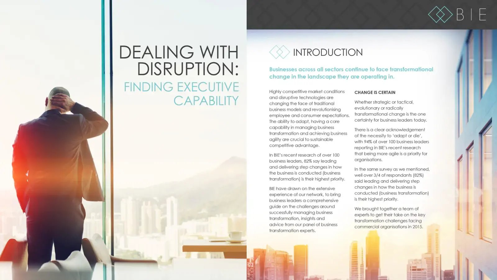 bie-dynamic-content-development-spread-01
