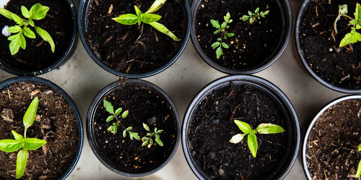 Growth Marketing Mindset