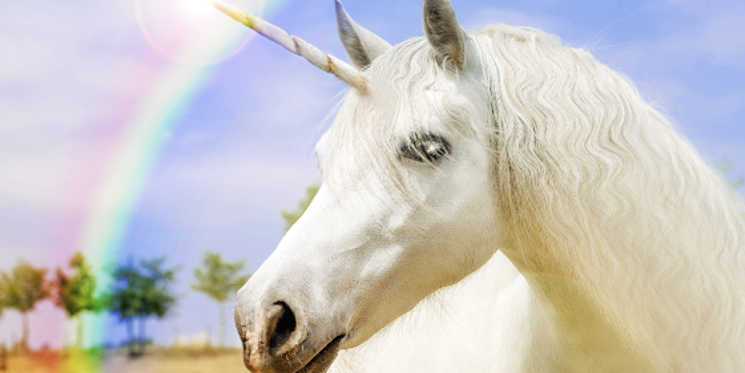 unicorn-inbound-agency-1.jpg