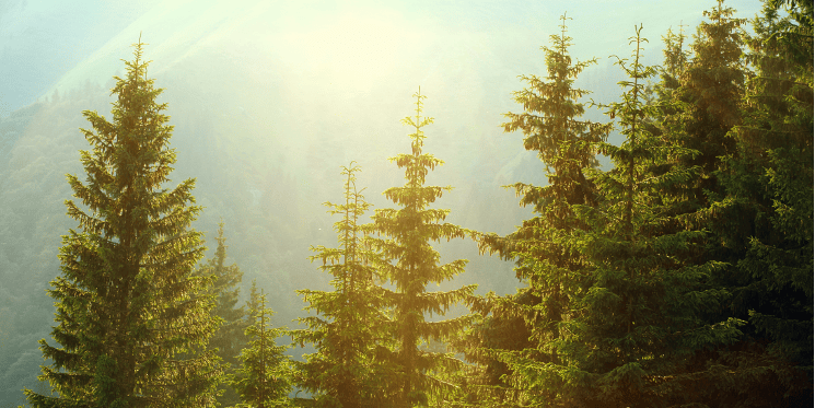 How to master evergreen content for your manufacturing company