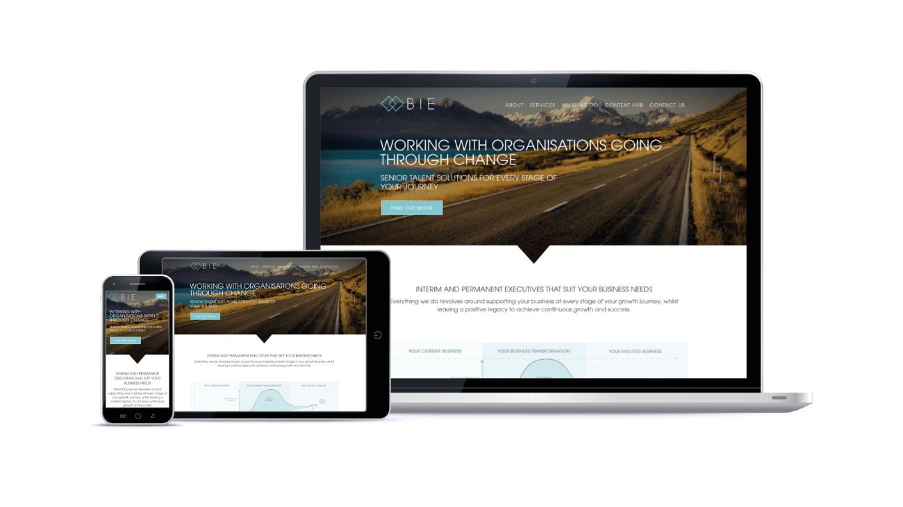 BIE-Website-01-Equinet-Media