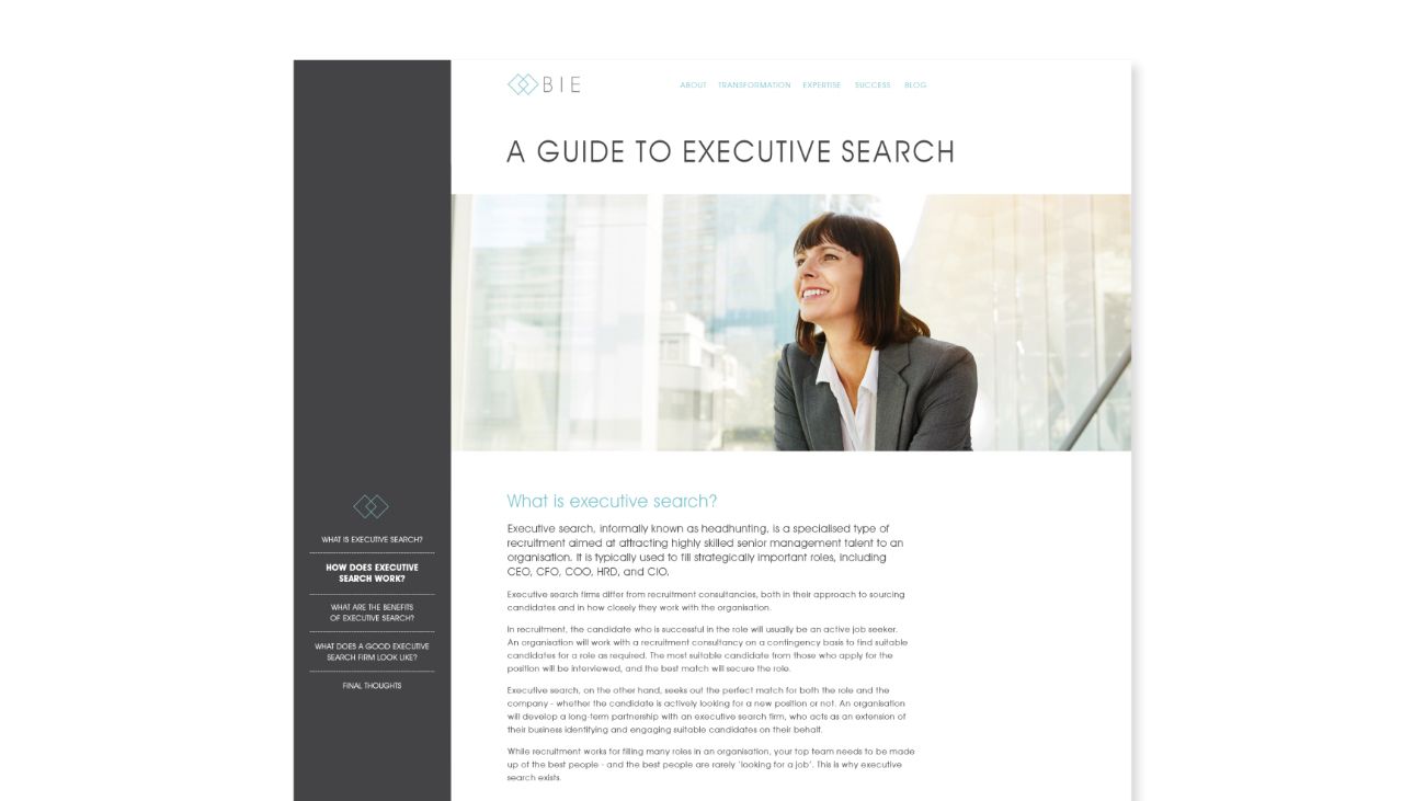 BIE-Website-03-Equinet-Media