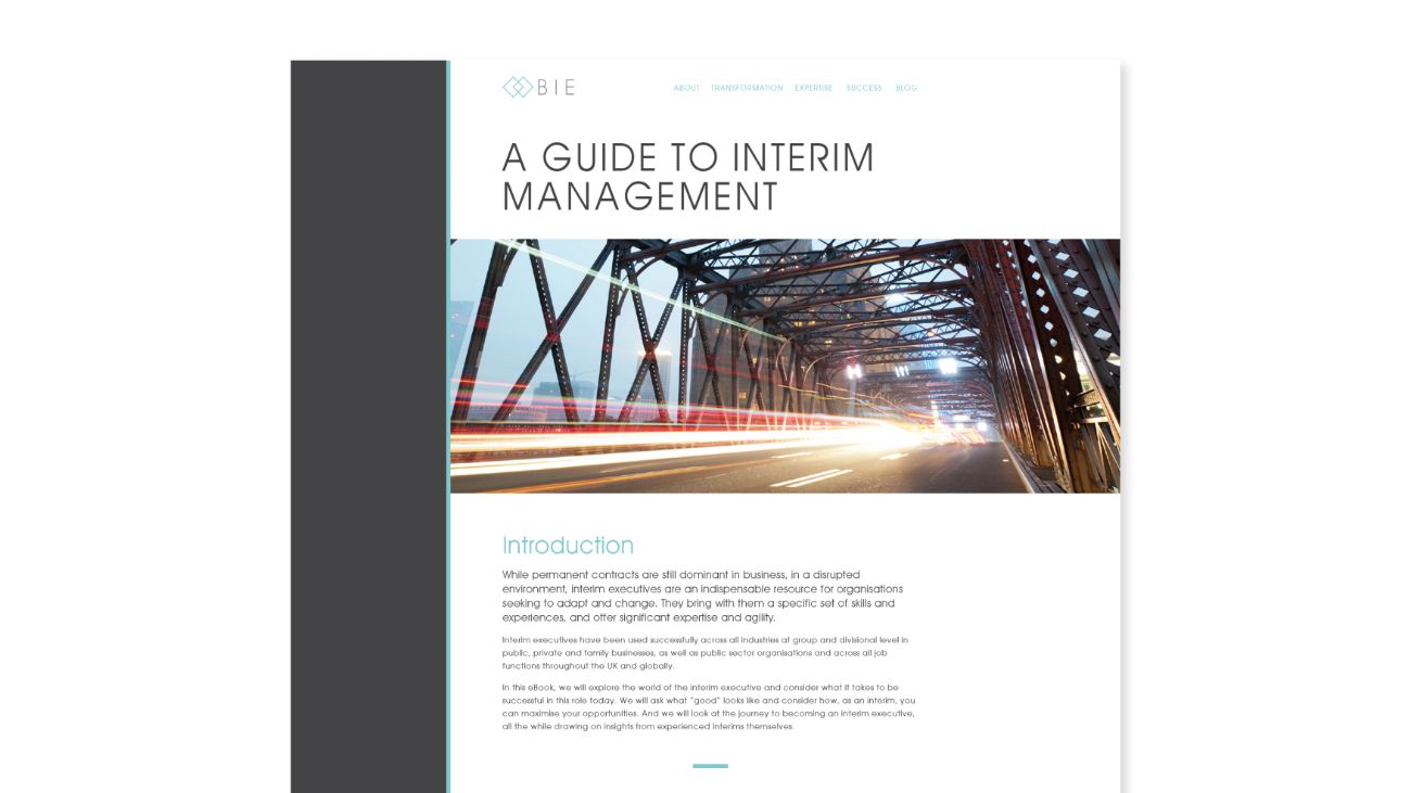 BIE-Website-04-Equinet-Media