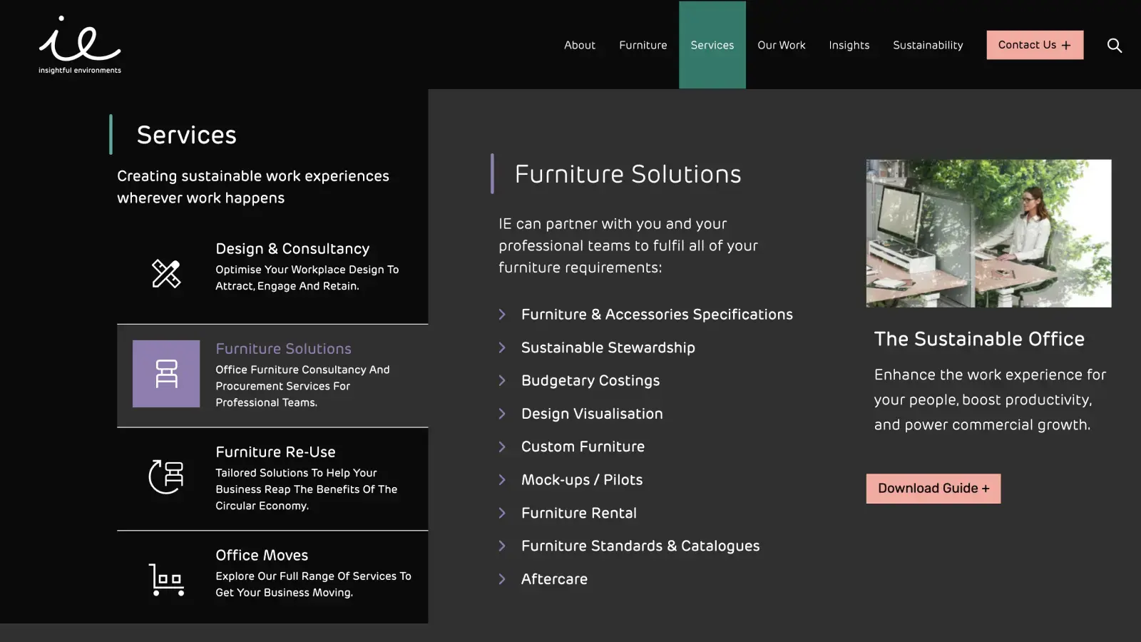 IE-website-design-spread-02
